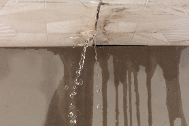 Professional Water Damage Repair technician working in Williston, NC